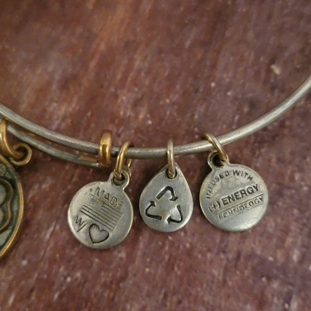 Alex and Ani "Four Leaf Clover"  Bangle Bracelet - Retired - Picture 4 of 7
